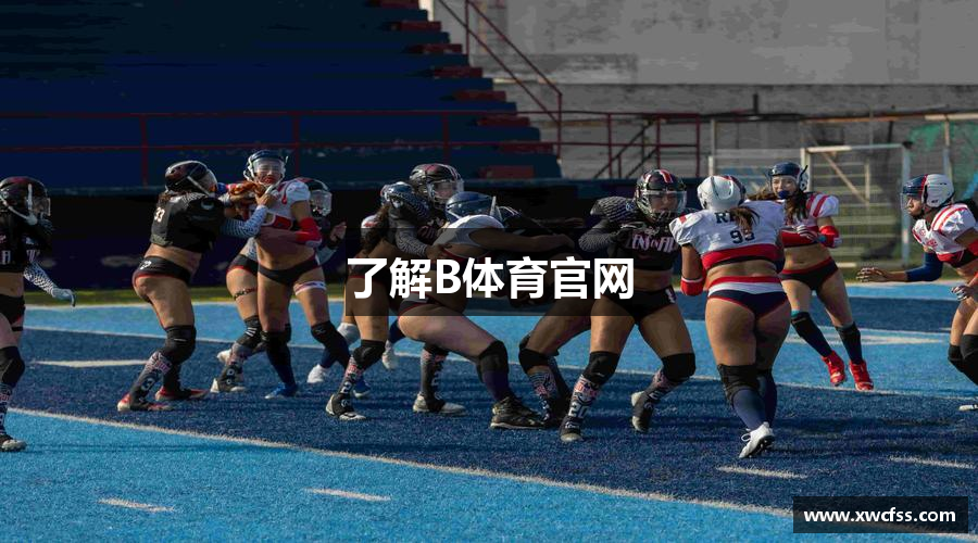 了解B体育官网